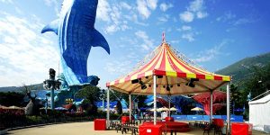 Circus Tents for Sale