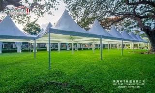 backyard party tents for sale