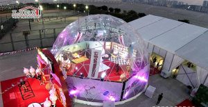Whole Transparent Geodesic Dome Tent For Party