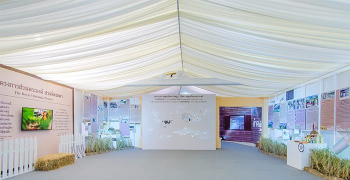 Party Tent Lining