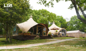 Indian Multi Peak Tent