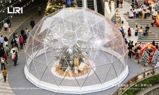 Festival party tents