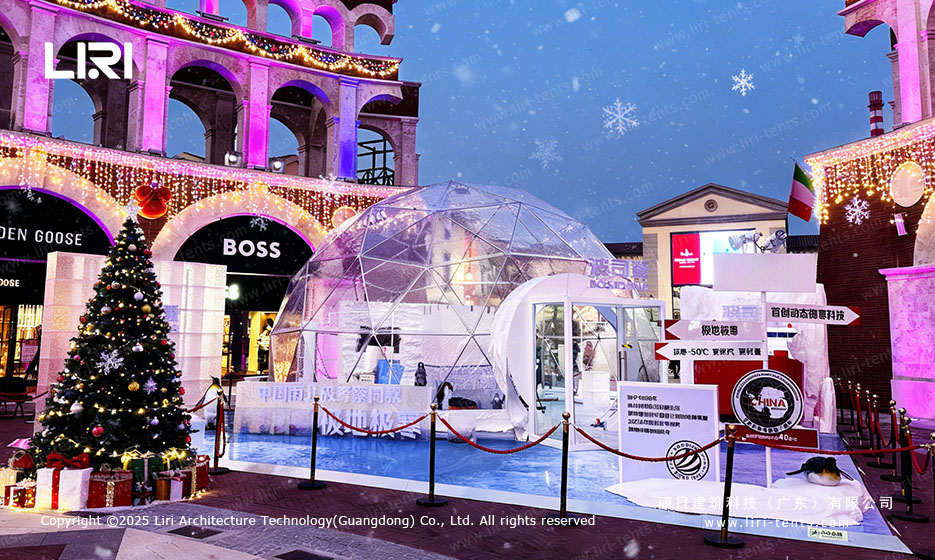 Geodesic Dome Tent Close-Up Entrance Detail Premium Quality