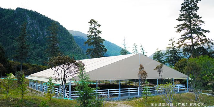 30m x 35m Equestrian Arena Tent: Clear Span Horse Riding Shelter Installation